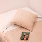 アパート Casa Rosa ラ・スペツィア